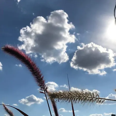 Fuldaliebe - Helle Mit Kueche, Parkplatz, Wlan, Self Check-in Apartmán *