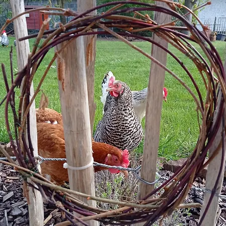 Fuldaliebe - Helle Mit Kueche, Parkplatz, Wlan, Self Check-in *