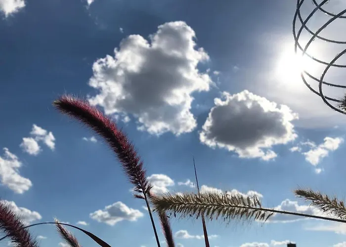 Fuldaliebe - Helle Mit Kueche, Parkplatz, Wlan, Self Check-in شقة *