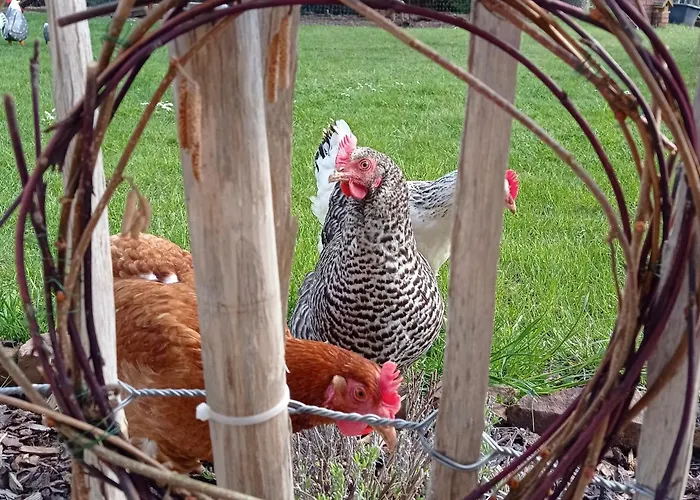 Fuldaliebe - Helle Mit Kueche, Parkplatz, Wlan, Self Check-in *